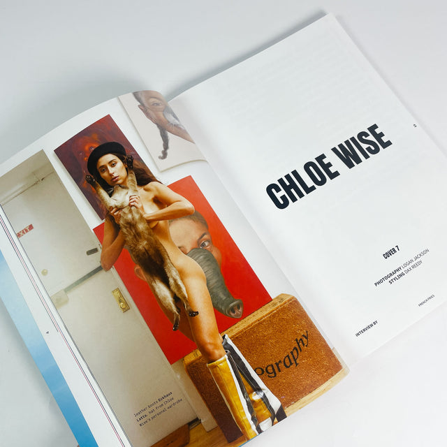 French Fries No. 10 – The Small Town Big Weird Issue