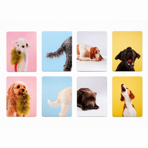  Hundesprache – Memospiel – GUDBERG NERGER Shop