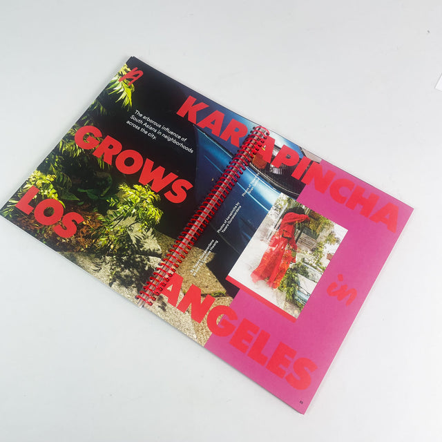 Synonym Issue 03 – Spices – GUDBERG NERGER Shop