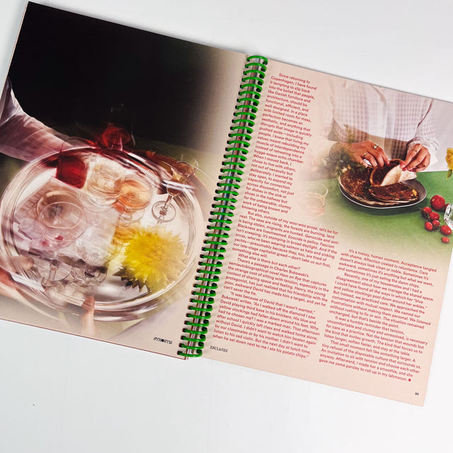 Synonym Issue 04 – Enclaves – GUDBERG NERGER Shop