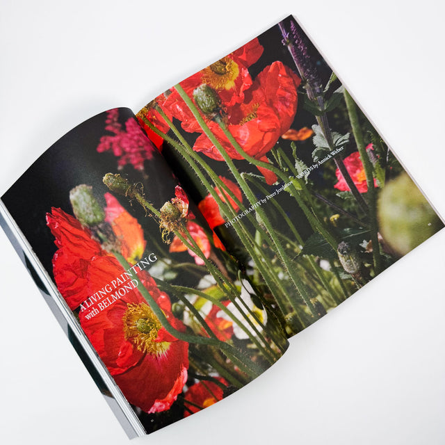 The Plant Issue 25