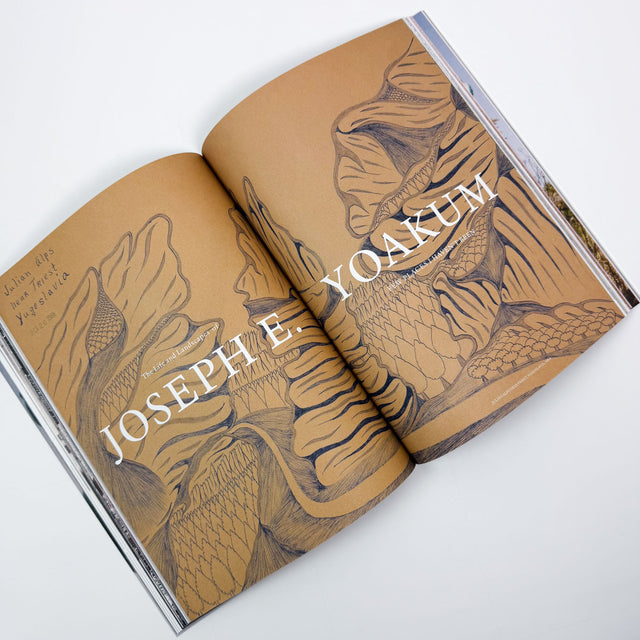 The Plant Issue 25