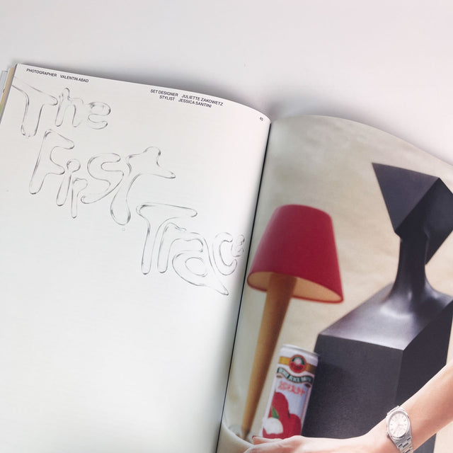 Whatevr Fanzine Issue 14 – Seeds, The Origins – GUDBERG NERGER