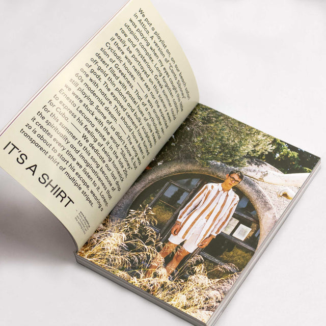 Desired Landscapes Issue 5 – GUDBERG NERGER