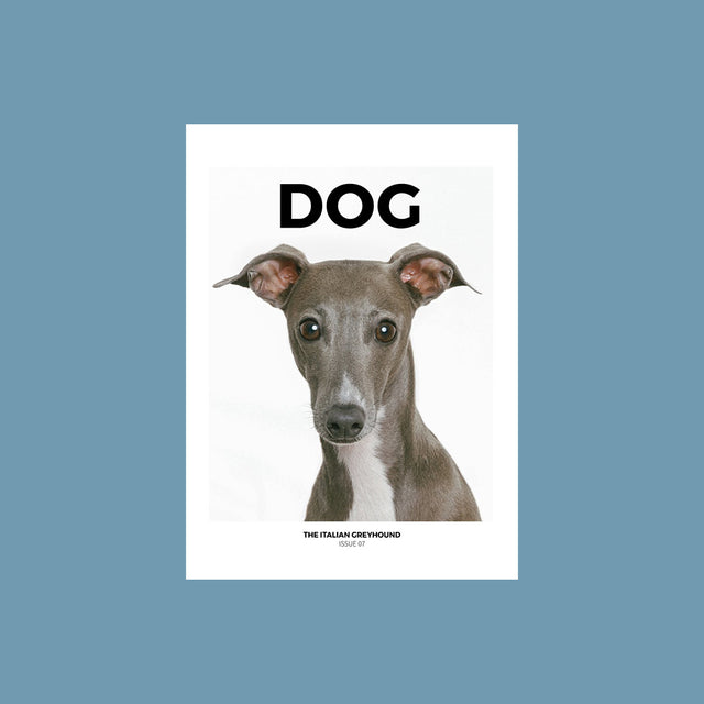 DOG Magazine Issue 7 – The Italian Greyhound – GUDBERG NERGER Shop