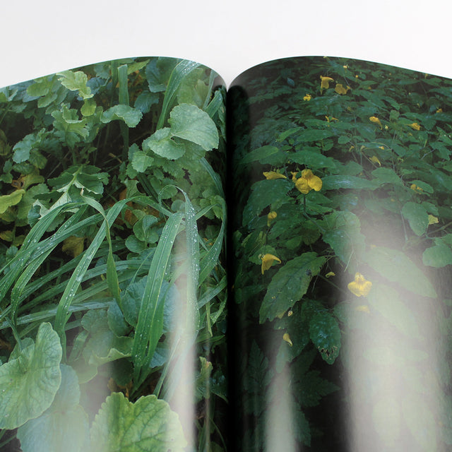 Mora Magazine – Chapter One – Ausgabe 1 – GUDBERG NERGER