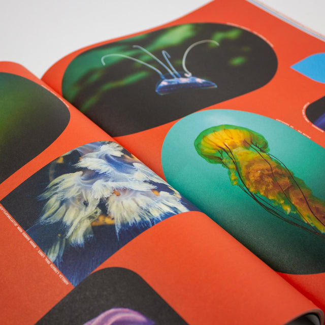 Plasma Magazine Issue 6 – Life As You Are – GUDBERG NERGER