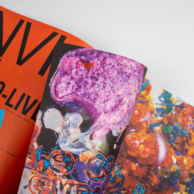 Plasma Magazine Issue 6 – Life As You Are – GUDBERG NERGER