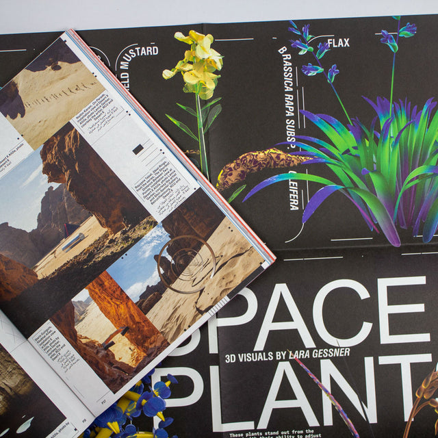 Plasma Magazine Issue 6 – Life As You Are – GUDBERG NERGER