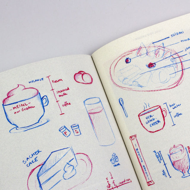 Salt & Wonder Zine – Inside The Bean – GUDBERG NERGER