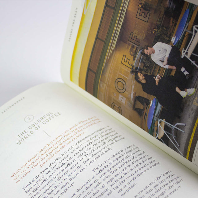 Salt & Wonder Zine – Inside The Bean – GUDBERG NERGER