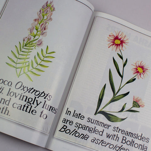  Spike Art Magazine #65 – Plants – GUDBERG NERGER