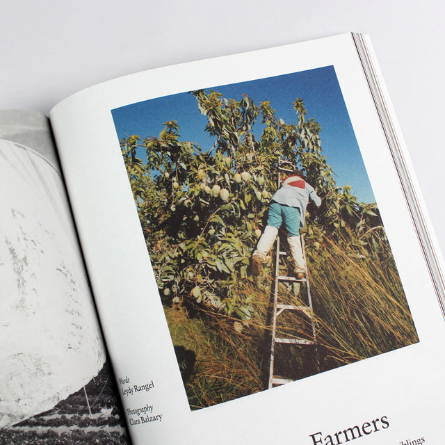 The Plant Issue 16 – buy at GUDBERG NERGER Shop