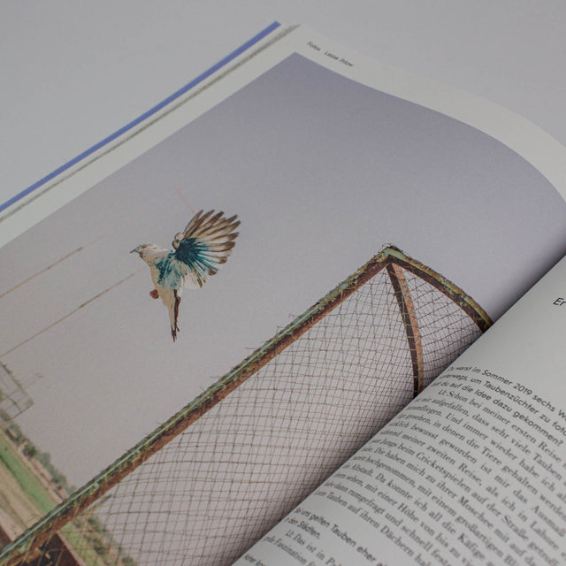 The Weekender No. 34