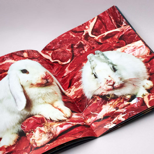Toiletpaper Magazine 19 – GUDBERG NERGER
