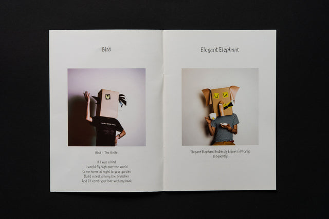 Carton Animals