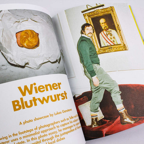  Lost in Vienna Issue 5 Gudberg Nerger 03